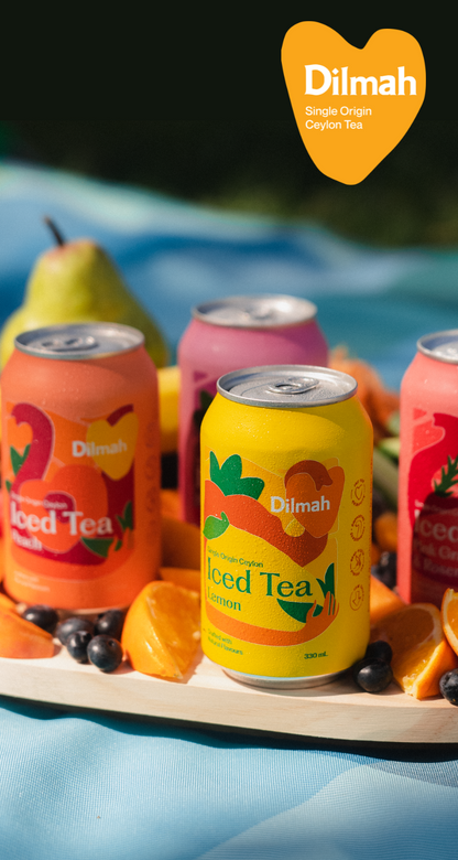Dilmah Natural Iced Tea Pink Grapefruit & Rosemary 24 Pack