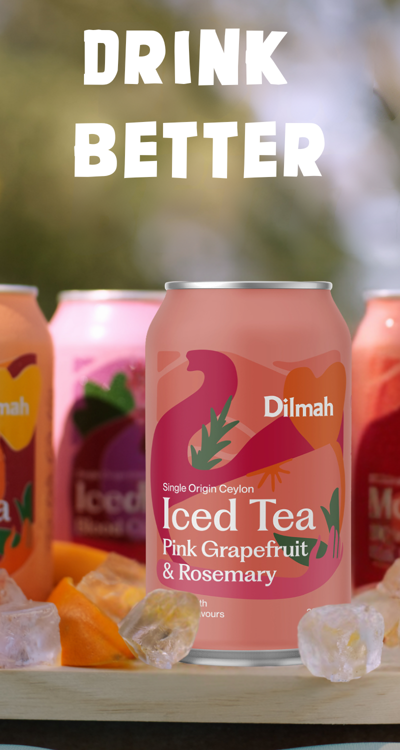 Dilmah Natural Iced Tea Pink Grapefruit & Rosemary 24 Pack