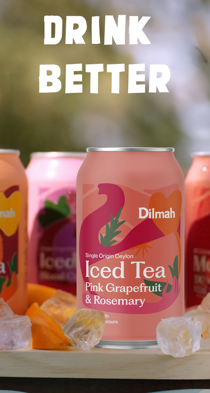 Dilmah Natural Iced Tea Pink Grapefruit & Rosemary 24 Pack
