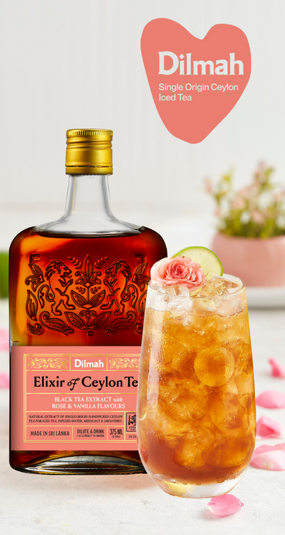 Dilmah Natural Tea Extract - Rose & Vanilla 375ml 6 Bottles